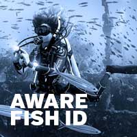 AWARE Fish ID