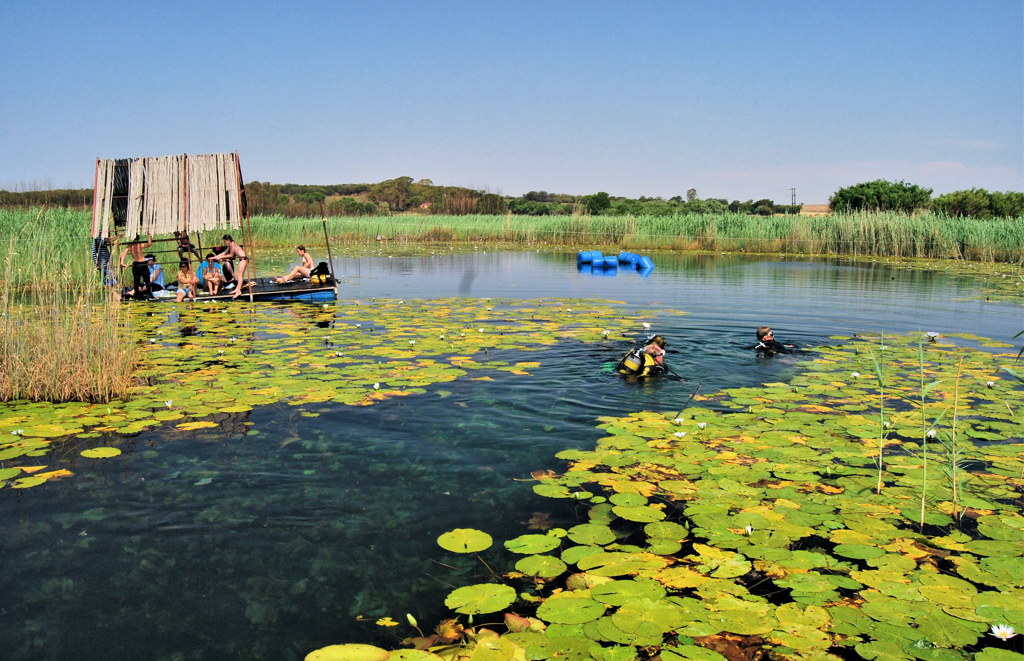 A Hidden Gem In South Africa