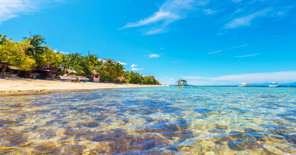 Diving The Philipines